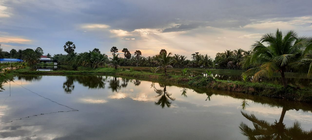 ស្រះចិញ្ចឹមបង្កង ខេត្តតាកែវ